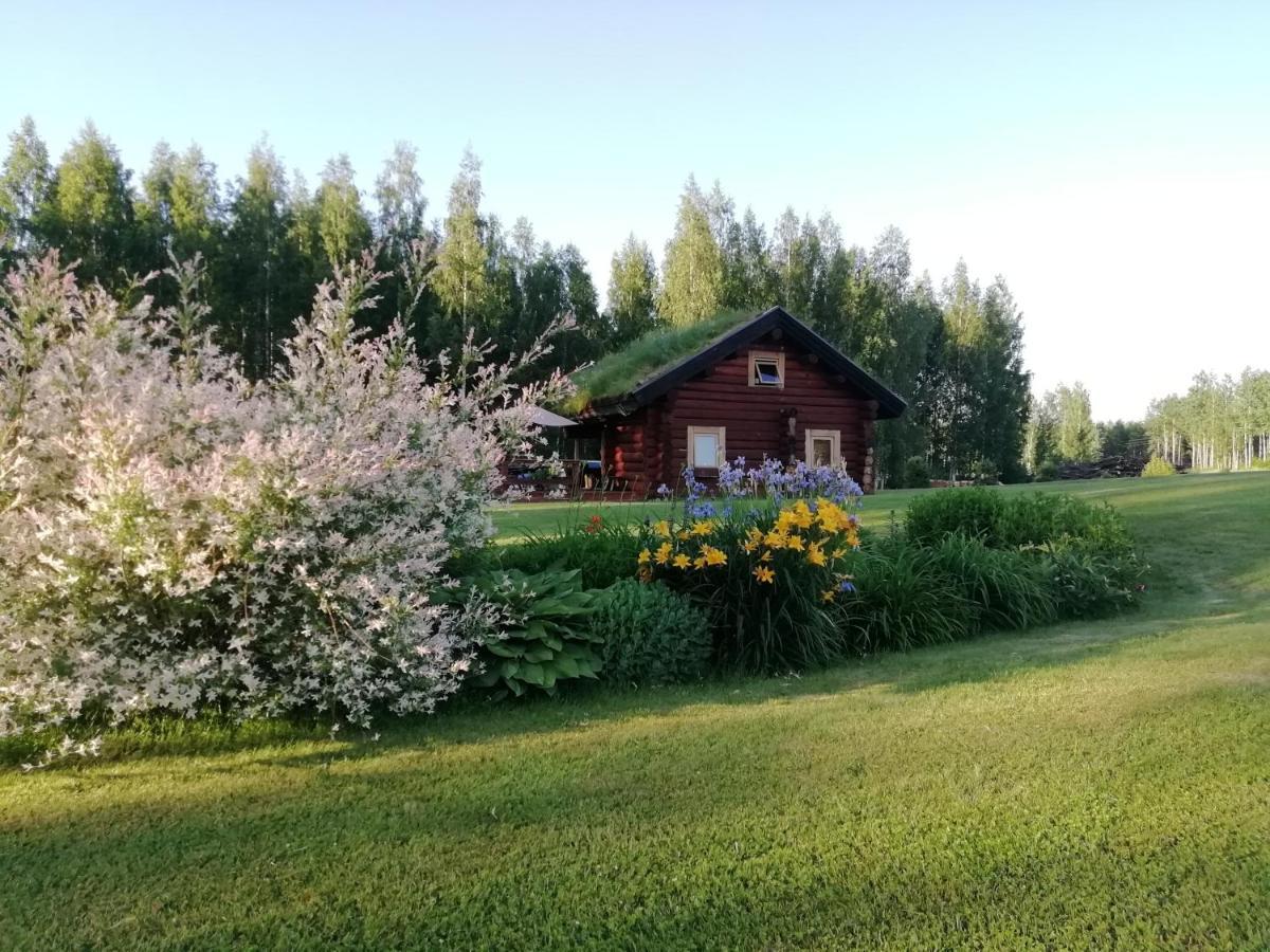Nedsaja Paeikseranna Holiday Centreヴィラ エクステリア 写真